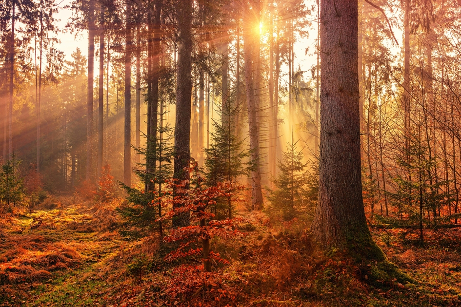 SEASONS OF CHANGE - News - Southam - St. James - A Church Near You