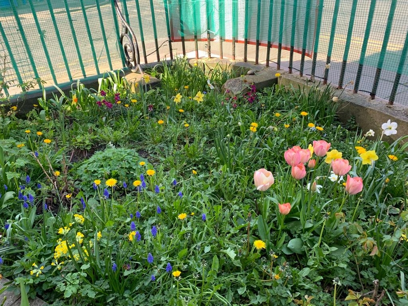 Church Gardens The Spring News St Bridget and St Thomas Wavertree A Church Near You