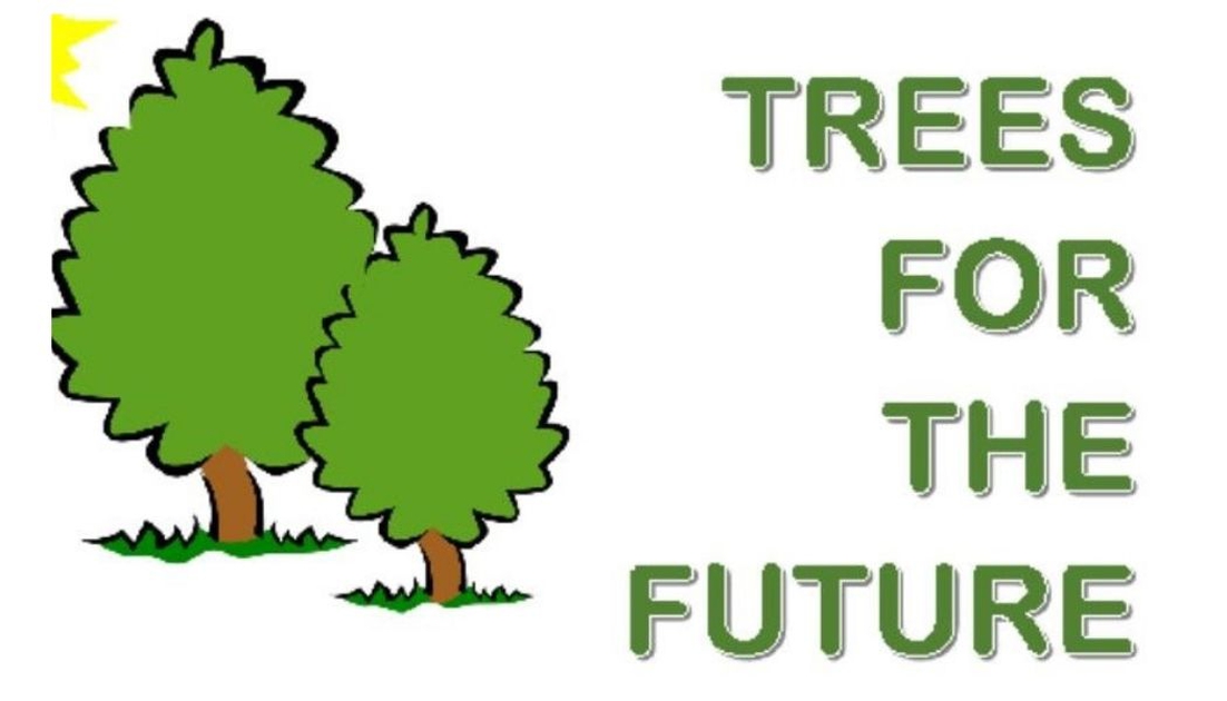 Trees for the Future News St Francis A Church Near You