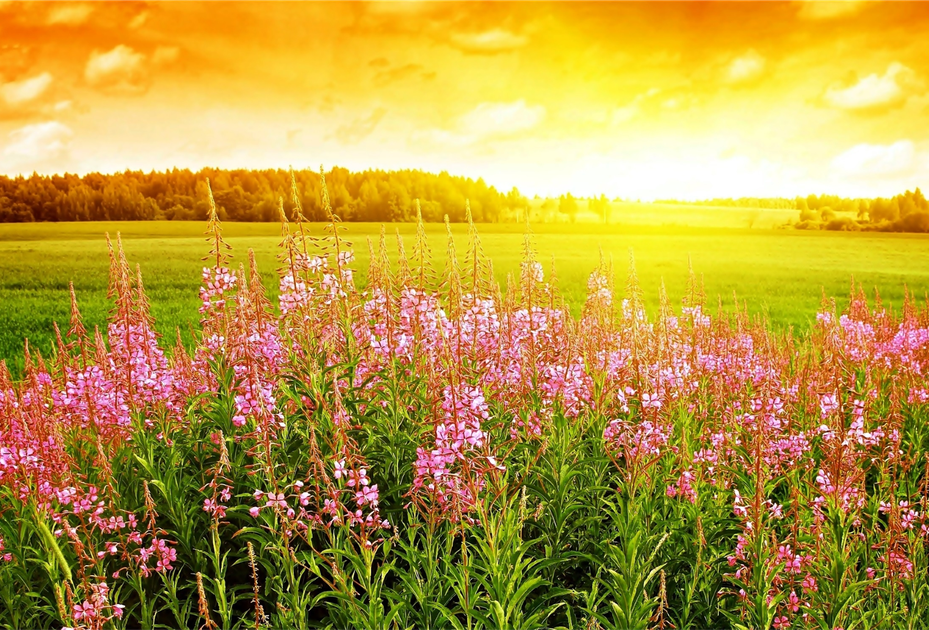 Badbury Parish News Summer Edition 2023 now available News