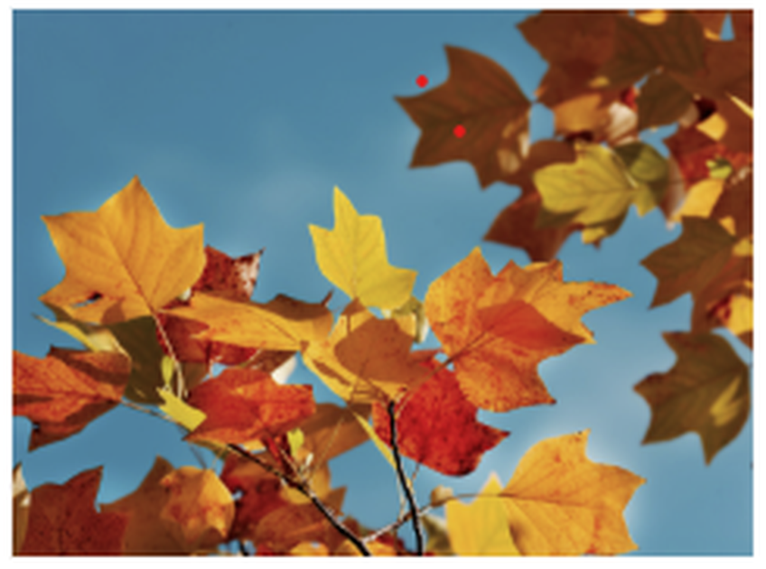 October Diary - News - Walton le Wolds: St Mary - A Church Near You