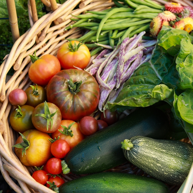 What does Harvest mean to you? News Great Alne St Mary Magdalen