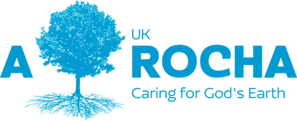 St John's Church is awarded Rocha Eco Bronze award - News - St John the ...