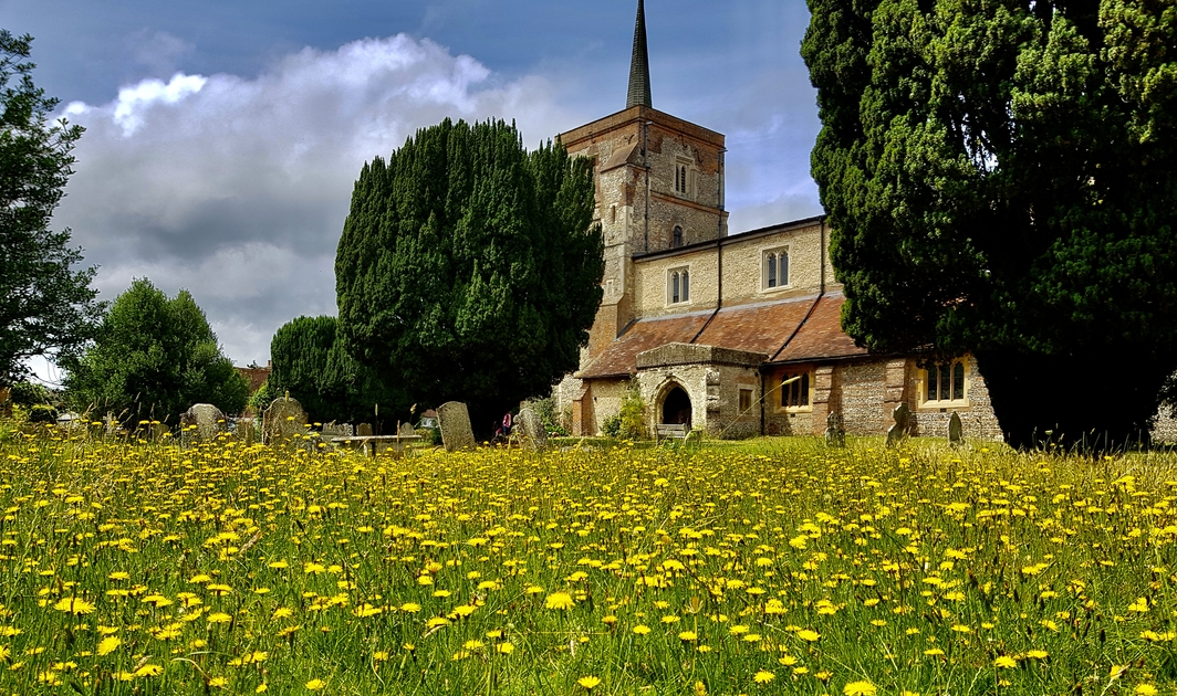 New report on our wildlife area - News - St Leonard's Church, Flamstead ...