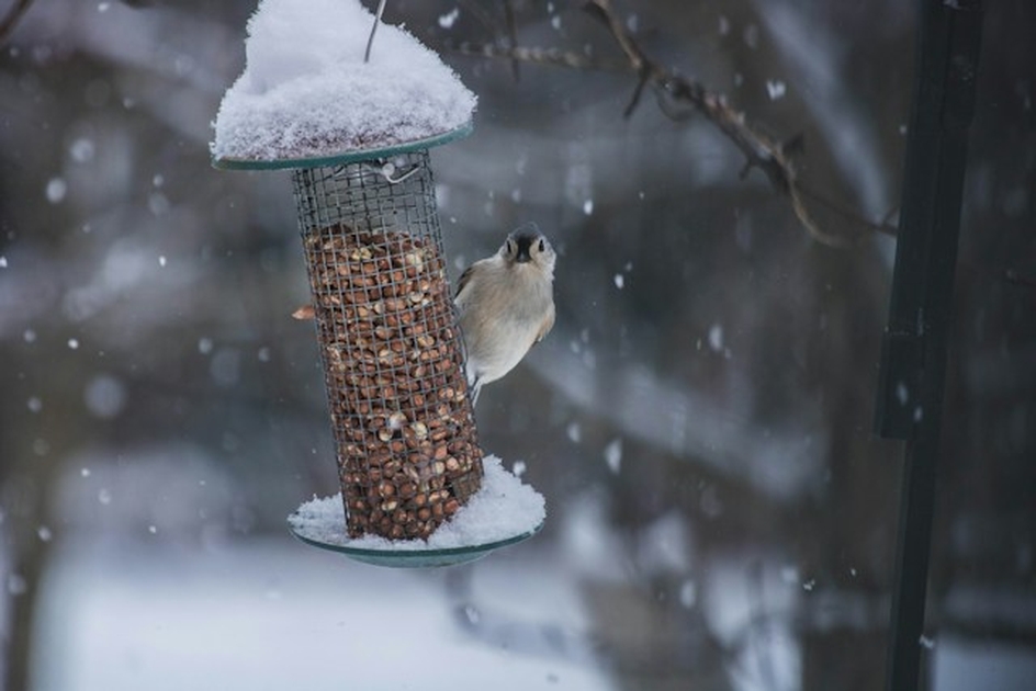 November Eco Tips - News - St Hilda's, Warley Woods - A Church Near You