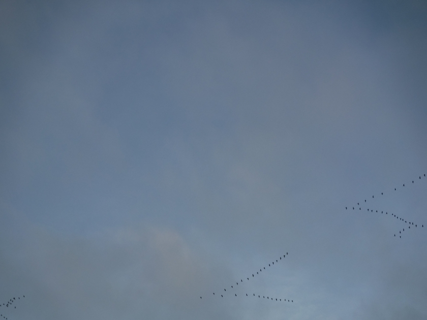 Message from the Minister All Saints 3rd November 2024 News