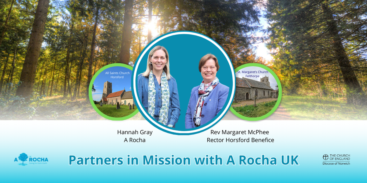 A Rocha UK visits All Saints Horsford - News - Felthorpe: St Margaret ...