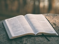 Service of the Word