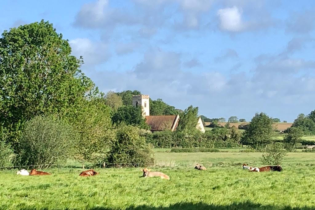 News From Upper Tas Valley Benefice