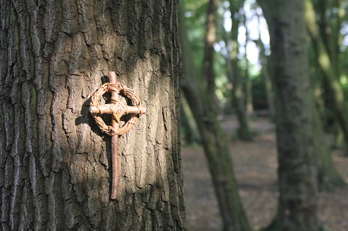 Forest Church