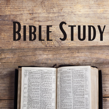 Bible Study
