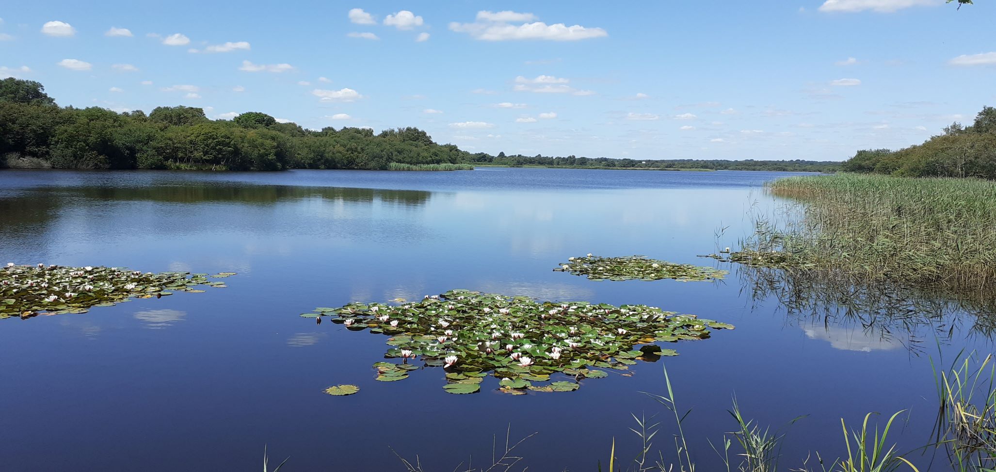 Still Waters