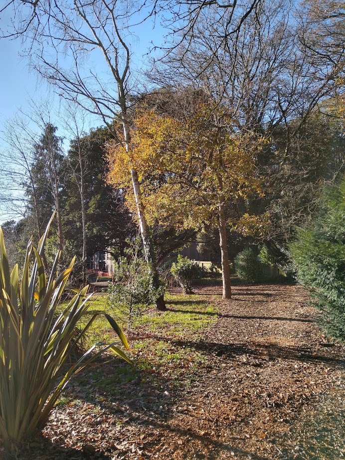 Walking Group