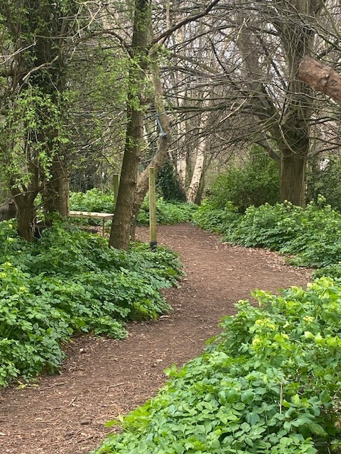 Forest Church