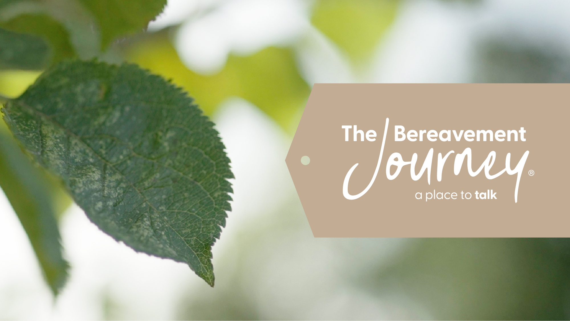 The Bereavement Journey, A Place To Talk
